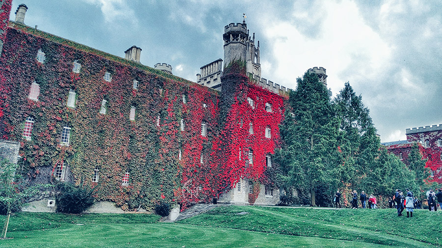 New Court, St Johns college Cambridge, covered in virginia creeper