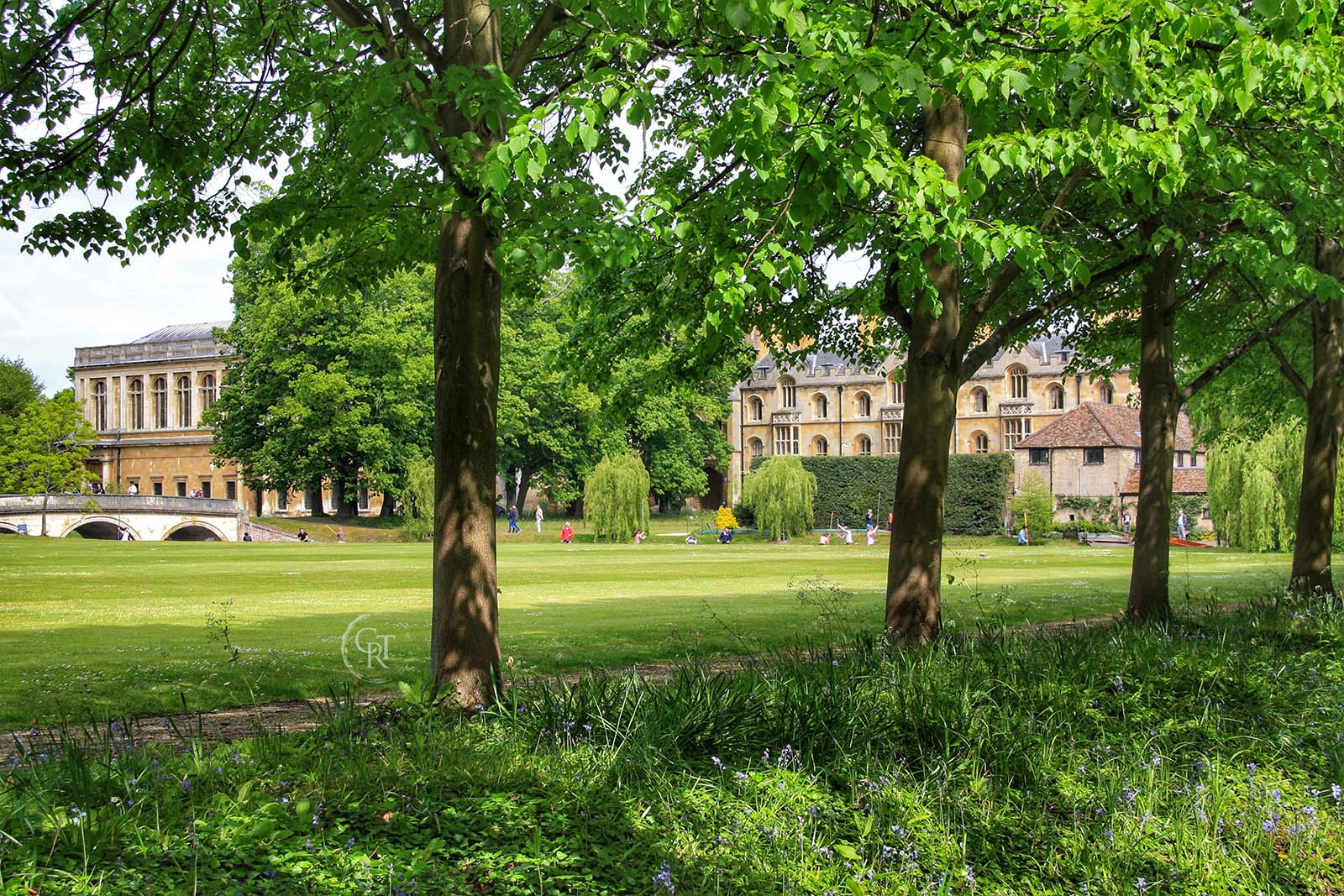 A view of Trinity new court and the Wren library through the trees