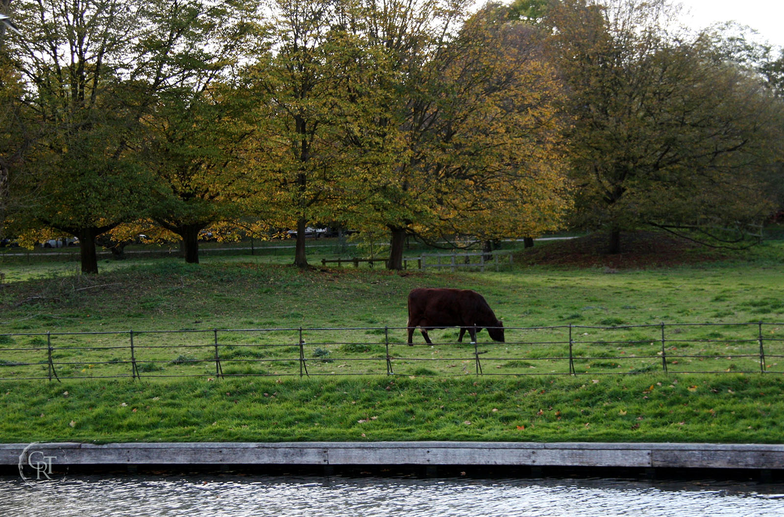 King's meadow with the old bridge footings