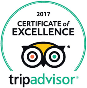 TripAdvisor 2017 certificate of excellence logo