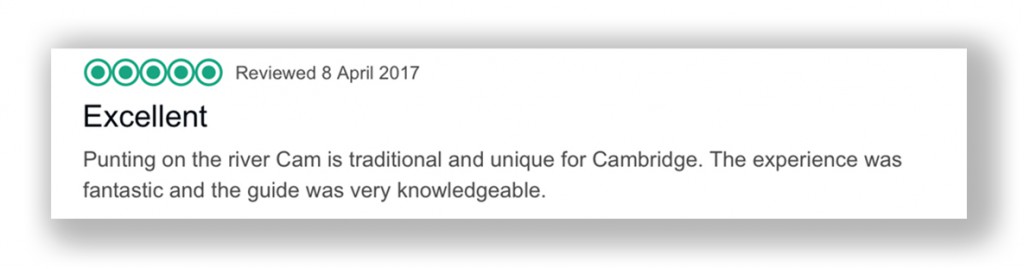 Trip Advisor Review 3