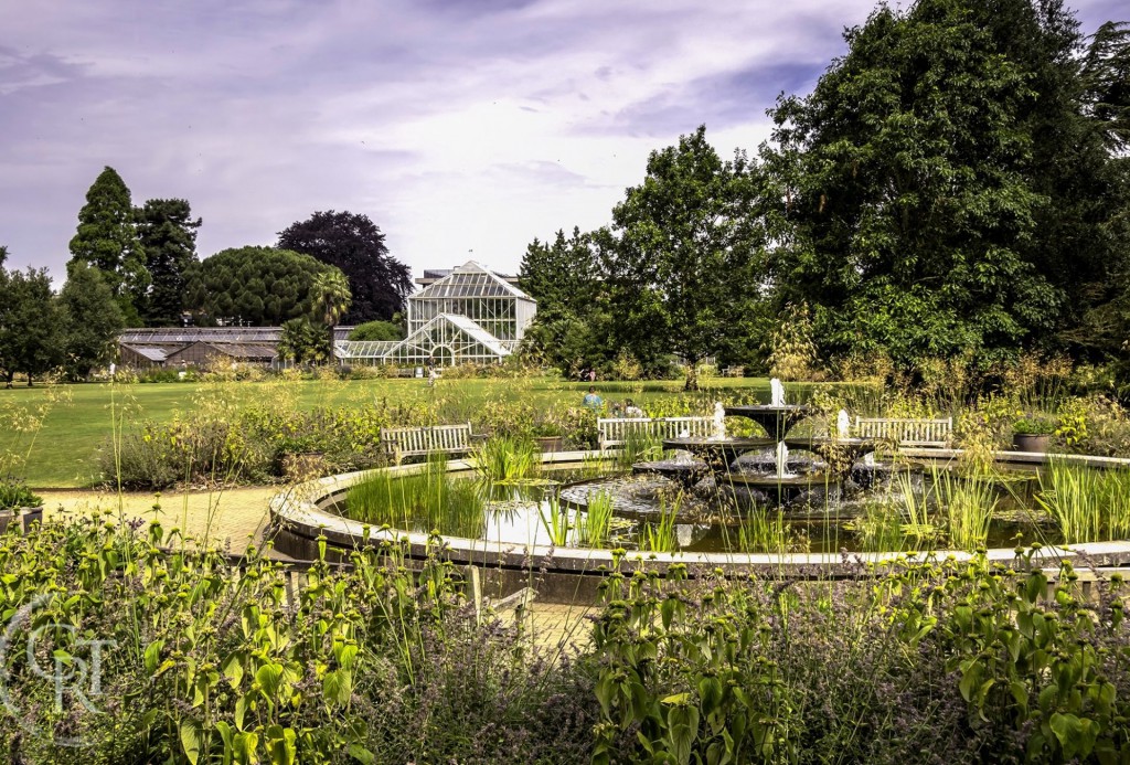 Cambridge botanic gardens